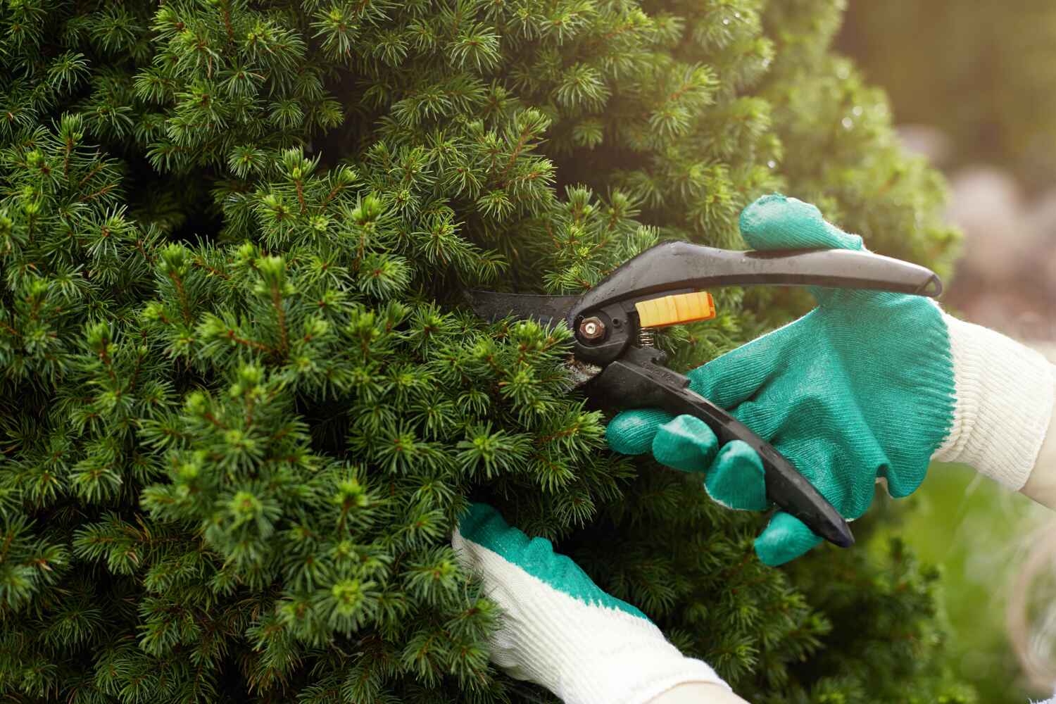 Best Tree Health Inspection  in Marlow, OK